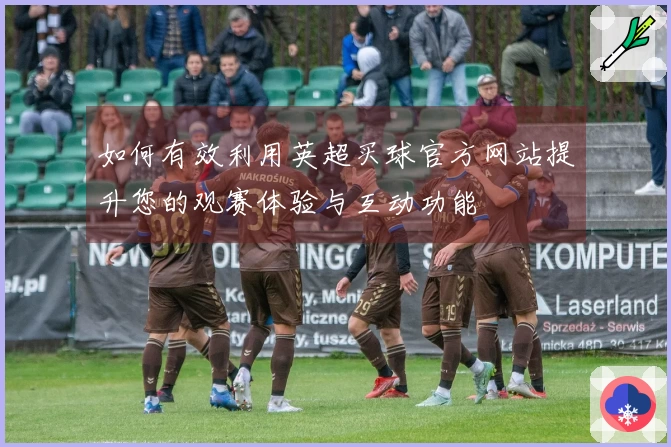 如何有效利用英超买球官方网站提升您的观赛体验与互动功能