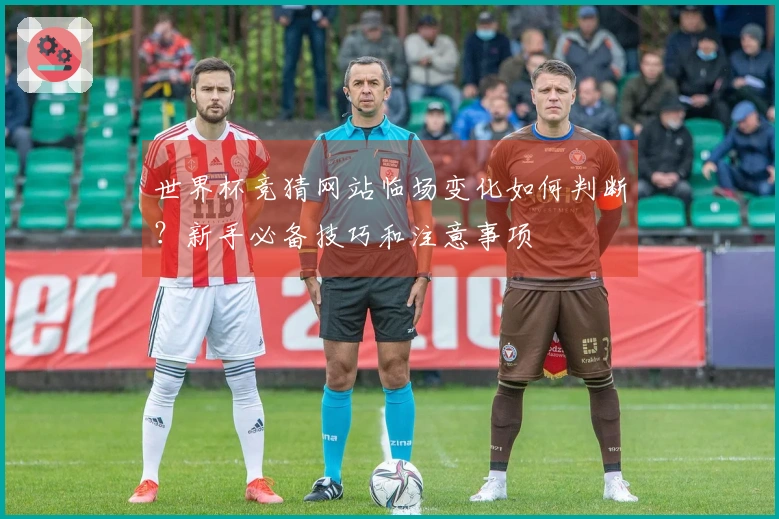 世界杯竞猜网站临场变化如何判断?新手必备技巧和注意事项