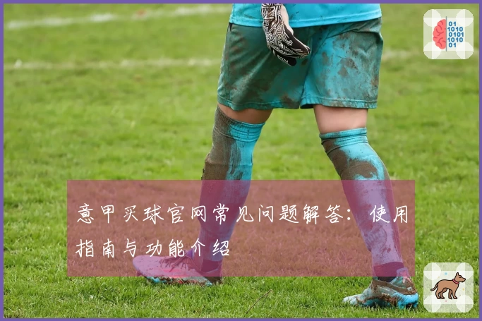 意甲买球官网常见问题解答：使用指南与功能介绍